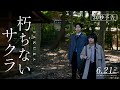 映画「朽ちないサクラ」予告〈30秒〉【6月21日(金)公開】