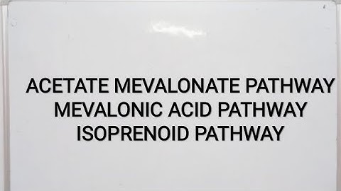 MEVALONIC ACID PATHWAY/ ACETATE MEVALONATE PATHWAY/ISOPRENOID PATHWAY