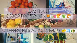 ОРГАНИЗАЦИЯ В ХОЛОДИЛЬНИКЕ 🔥🔥🔥ОБЗОР ПРОДУКТОВ 🛍️🍠🫑🥐