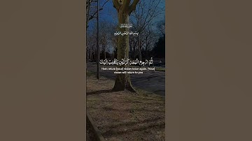 تلاوة عطرة لآيات من كتاب الله #القرآن_الكريم #الله #اكسبلور #المصحف #foryou #راحة_نفسية #fyp