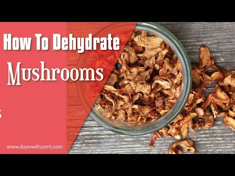 Comment Déshydratation champignons
