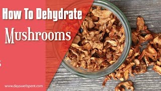 How to Dehydrate Mushrooms