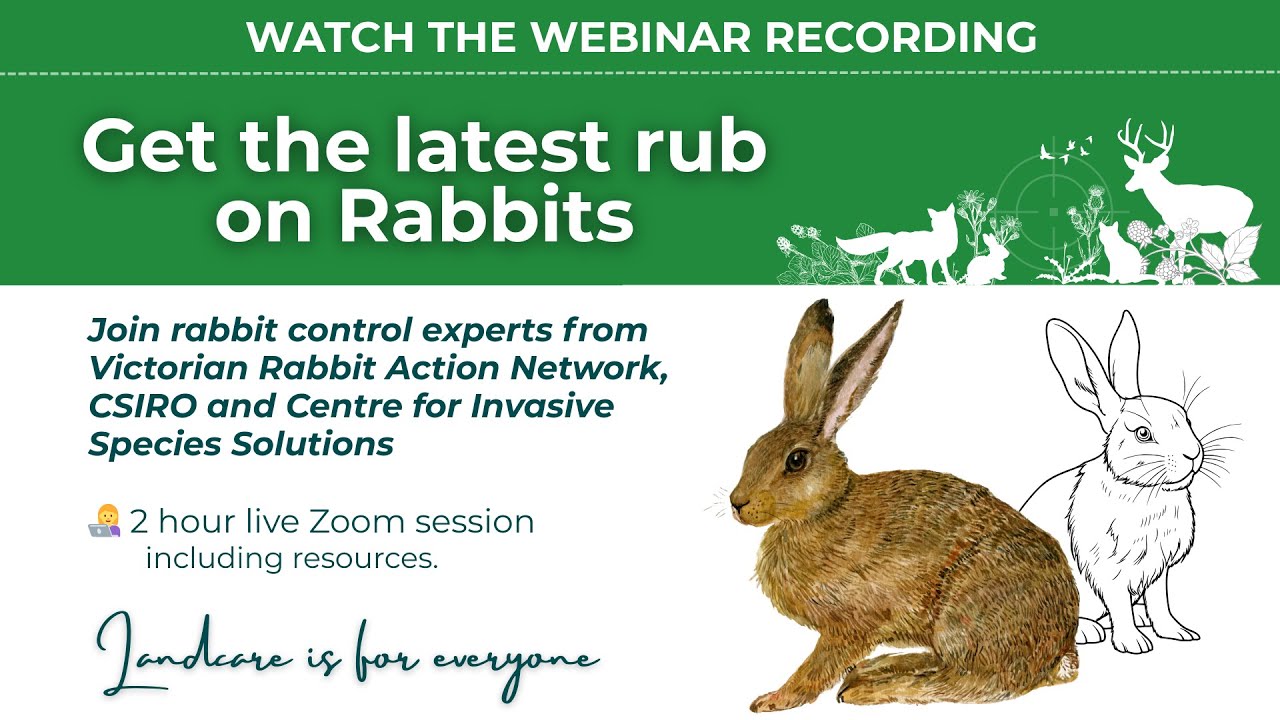 The Latest Rub On Rabbits - Latrobe Catchment Landcare Network webinar ...