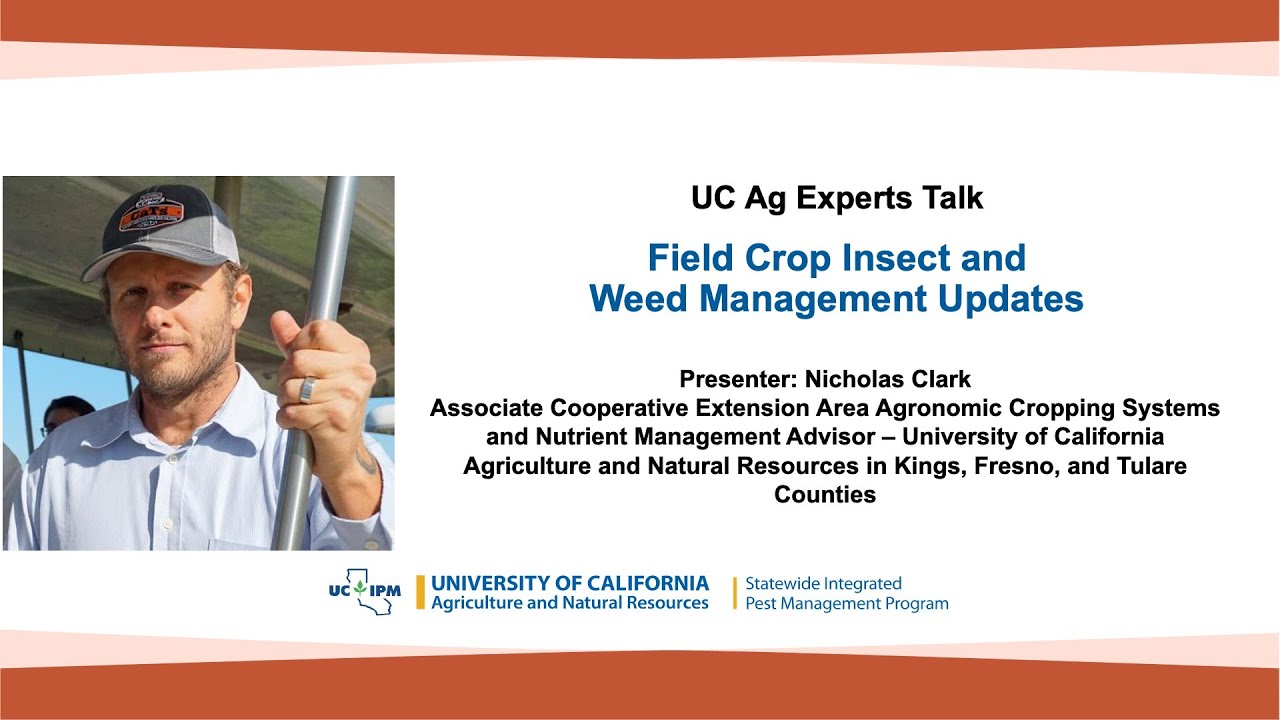 UC Ag Experts Talk: Field Crop Insect and Weed Management Updates