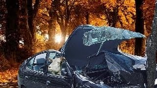 Sådan man (ikke) køre bil - BeamNG Drive screenshot 2