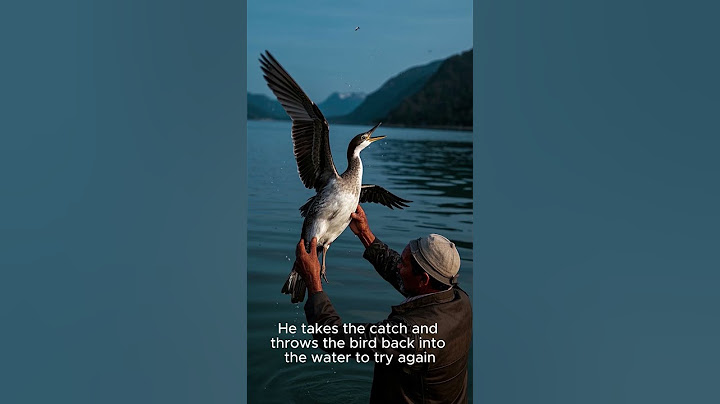 Title on screen  “How Fishermen Use Birds to Catch