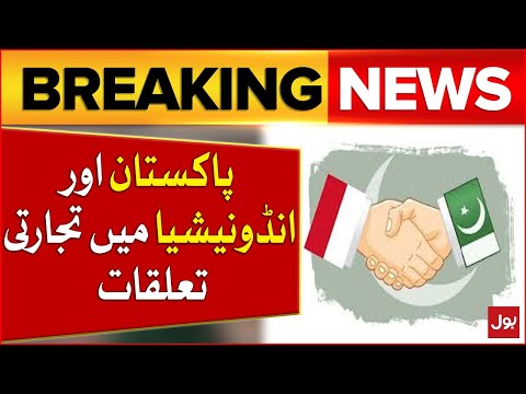 SIFC in Action | Trade Relations between Pakistan and Indonesia | Breaking News