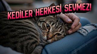 Kedi̇ler Herkesi̇ Sevmez Si̇zi̇ Seçti̇yse Var Bi̇r Sebebi̇