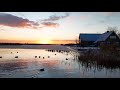 Winter in Friesland #Winter #holland #friesland #memories #nature #landscape #water #boat #frozen 