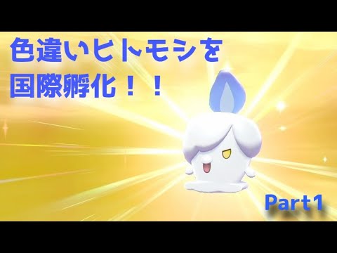 54匹目 色違いヒトモシを国際孵化 ポケモン剣盾 Youtube