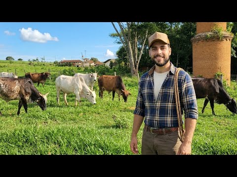 ELE LARGOU A AGRONOMIA PRA VIR TIRAR LEITE NA ROÇA