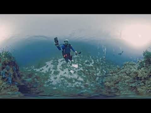 Dive 6 – Panorama Reef | East Wall | Red Sea 360°