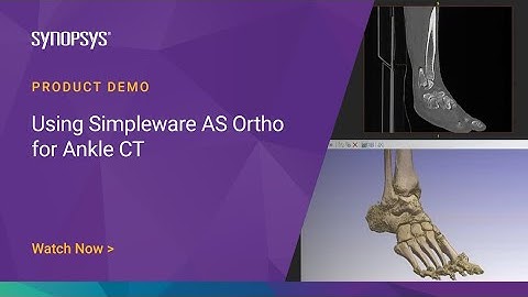 Using Simpleware AS Ortho for Ankle CT  | Synopsys