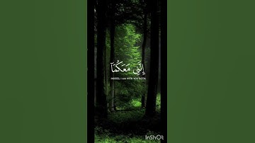 اكتب شيء تؤجر عليه ❤️ 😴 🎧/القارئ محمد ديبيروف
