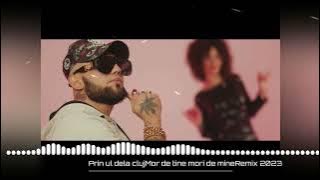 printu de la cluj❌️ mor de tine mori de mine❌️🫡