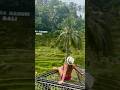 Balis Most Beautiful Rice Fields and Pools in ubud #limitlessglobalgirl