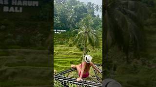 Balis Most Beautiful Rice Fields and Pools in ubud #limitlessglobalgirl