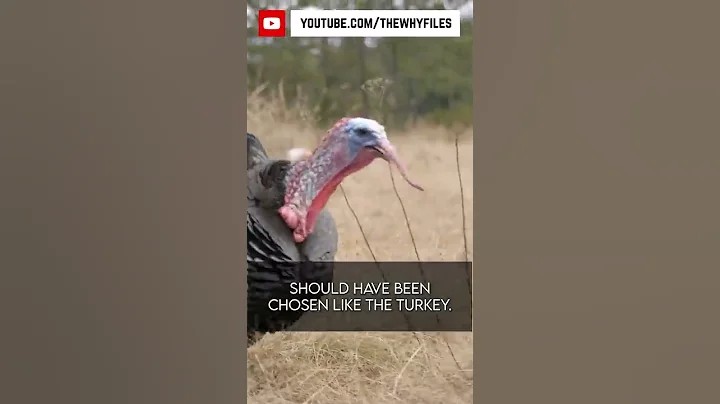 True or False? Did you know all of these? #04 #thewhyfiles #shorts