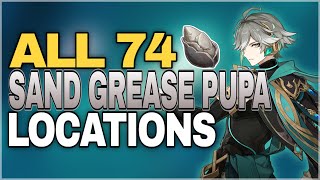 All 74 Sand Grease Pupa Locations  Efficient Farming Route  Alhaitham Material  Genshin Impact