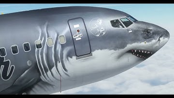 Repaint PMDG 737-800  (Fictional) Microsoft flight simulator 2020