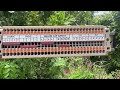 Cầu đấu dây dạng ghim (pushin) DPN series hãng dinkle