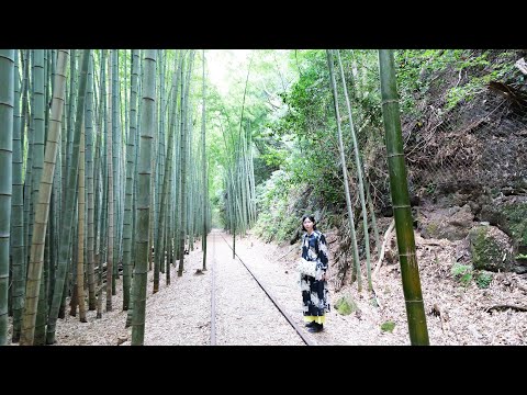 日本一美しい廃線跡 倉吉線を巡ってきた&鳥取砂丘🇯🇵
