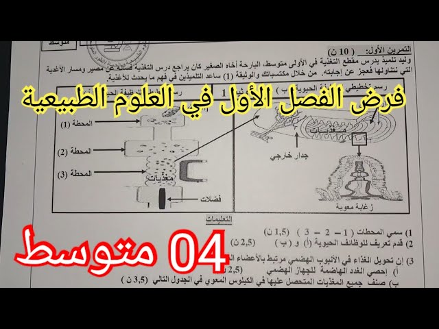 فرض الفصل الأول في في العلوم الطبيعية السنة الرابعة متوسط 2024