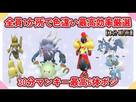 ポケモン - コノヨザル オコリザル マンキー ポケモンメザスタ マンキー オコリザル コノヨザル - メルカリ
