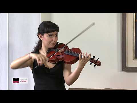 VIOLIN MASTERCLASS - SIBELIUS VIOLIN  CONCERTO IN D MINOR - HAGAI SHAHAM - 1st mov excerpt