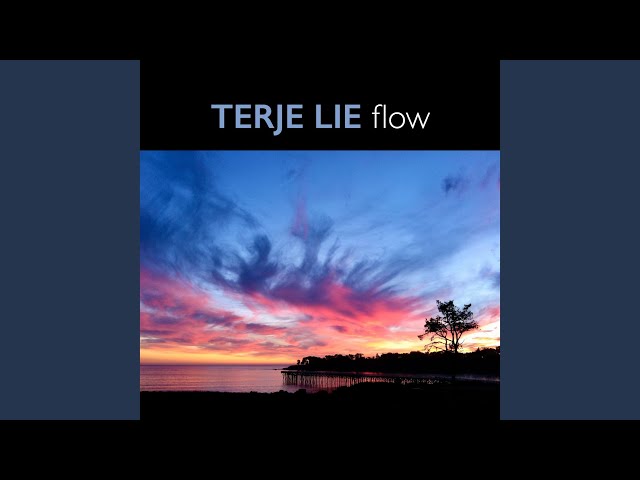 Terje Lie - Flow