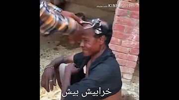 احلق يا حلاق بالماوس الذهاب شفيق كبها 
