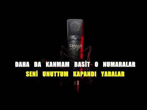 Zerrin Özer - Basit O Numaralar / Karaoke / Md Altyapı / Cover / Lyrics / HQ