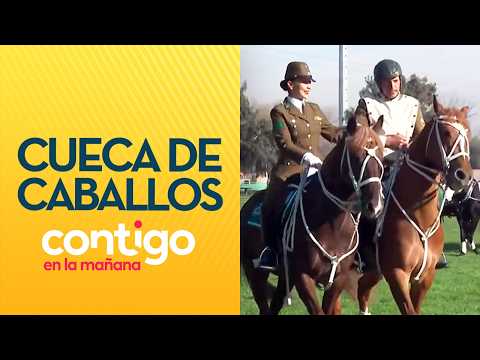 THEY DANCED THE CUECA! The skills of the Carabineros cavalry group - Contigo en la Mañana