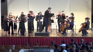 Schubert: Selections from early string quartets