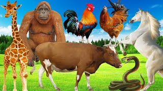 Cute Little Animals - Lion, Tiger, Leopard, Cow, Hen, Duck, Cat, Monkey, Camel - Animal Sounds