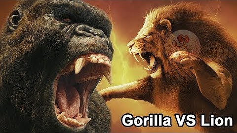 Brave Rescue Team FACES A GIANT Python To Save An Elephant 