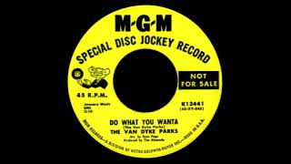 Number Nine / Do What You Wanta - The Van Dyke Parks