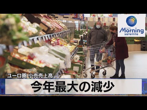 今年最大の減少　ユーロ圏 小売売上高【モーサテ】（2022年12月6日）