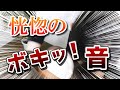 【ボキボキ整体】患者様もおもわず爆笑！全身の姿勢矯正で身体のコリ・四十肩を改善！
