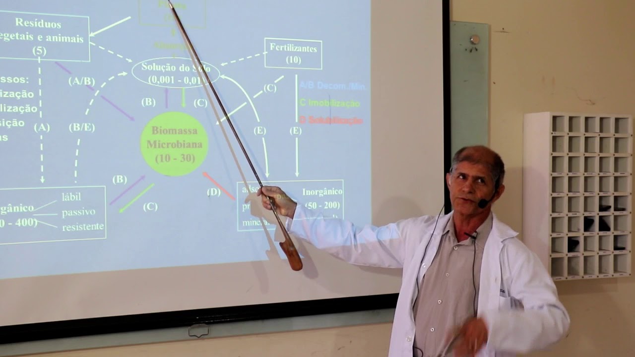 Transformações Microbianas do Fósforo