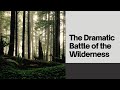 Battle of the Wilderness: Chaos and Fire in the Civil War