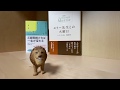 【おすすめ本】人生を変える1冊「モリー先生との火曜日」