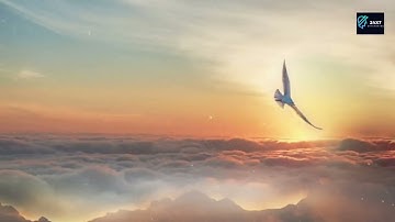 Improve your Coding Accuracy with professional Coding Audits