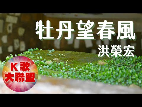 洪榮宏-牡丹望春風【KTV導唱字幕】 bekijken op YouTube