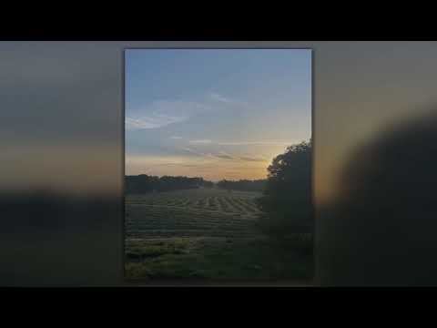 Four Letter Farm Life