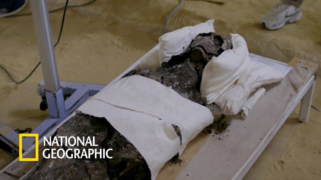 사제 미라의 성별을 판명하기 위한 엑스레이 촬영