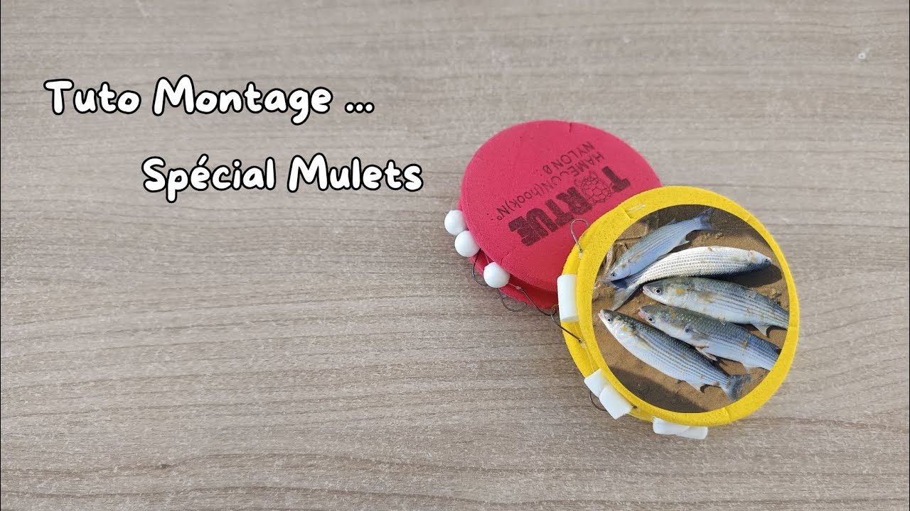 Tuto: Montage Spécial Mulets !!