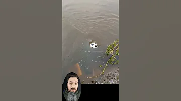 الدوامة فى البحر 