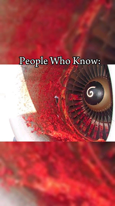 737-500 Continental ☠️ #boeingaircraft #b737 #boeing #7375 #continental #shorts #avgeek #aviation