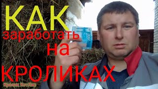 видео: КАК ЗАРАБОТАТЬ ДЕНЕГ на КРОЛИКАХ. Краткий курс.( часть 1). картинка: КАК ЗАРАБОТАТЬ ДЕНЕГ на КРОЛИКАХ. Краткий курс.( часть 1).